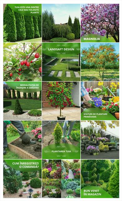 GreenLeaf